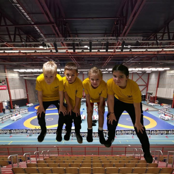 Flens Brottningsklubb