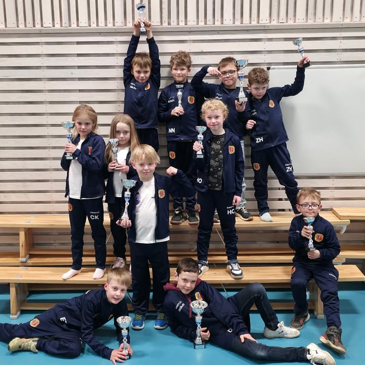 Flens Brottningsklubb